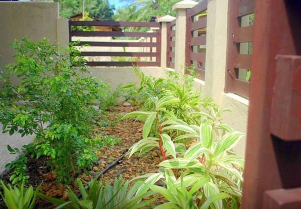 Gaea'S Apartments Panglao Εξωτερικό φωτογραφία